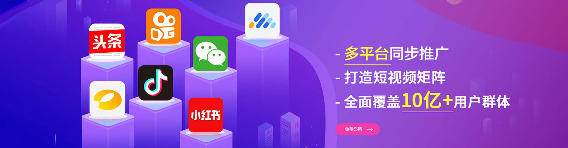 龙沙sem外包